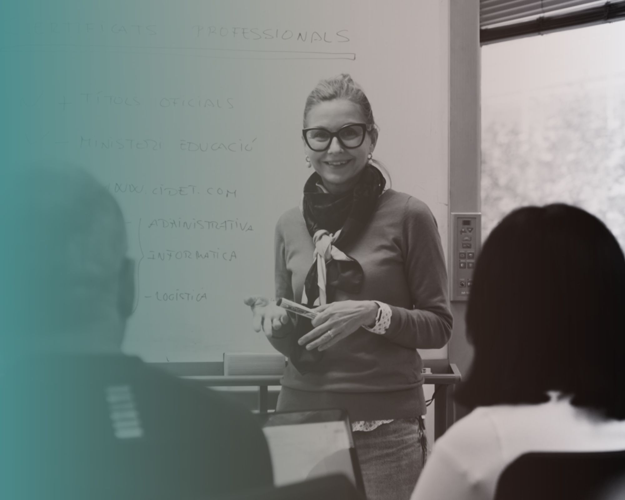 Formació ocupacional