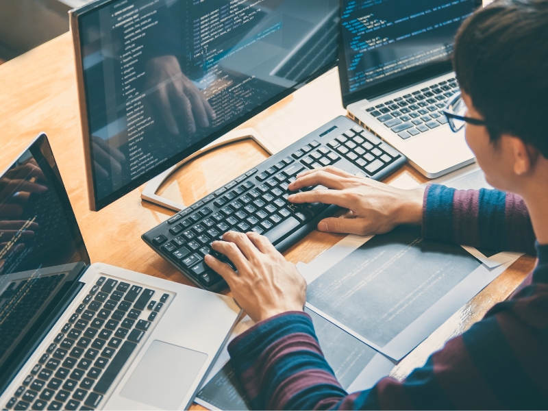 Sistemes Microinformàtics - Nivell 2 - 645h