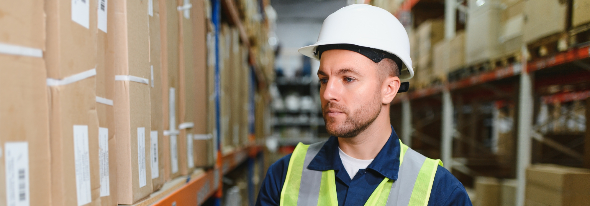 Organització i gestió de magatzems